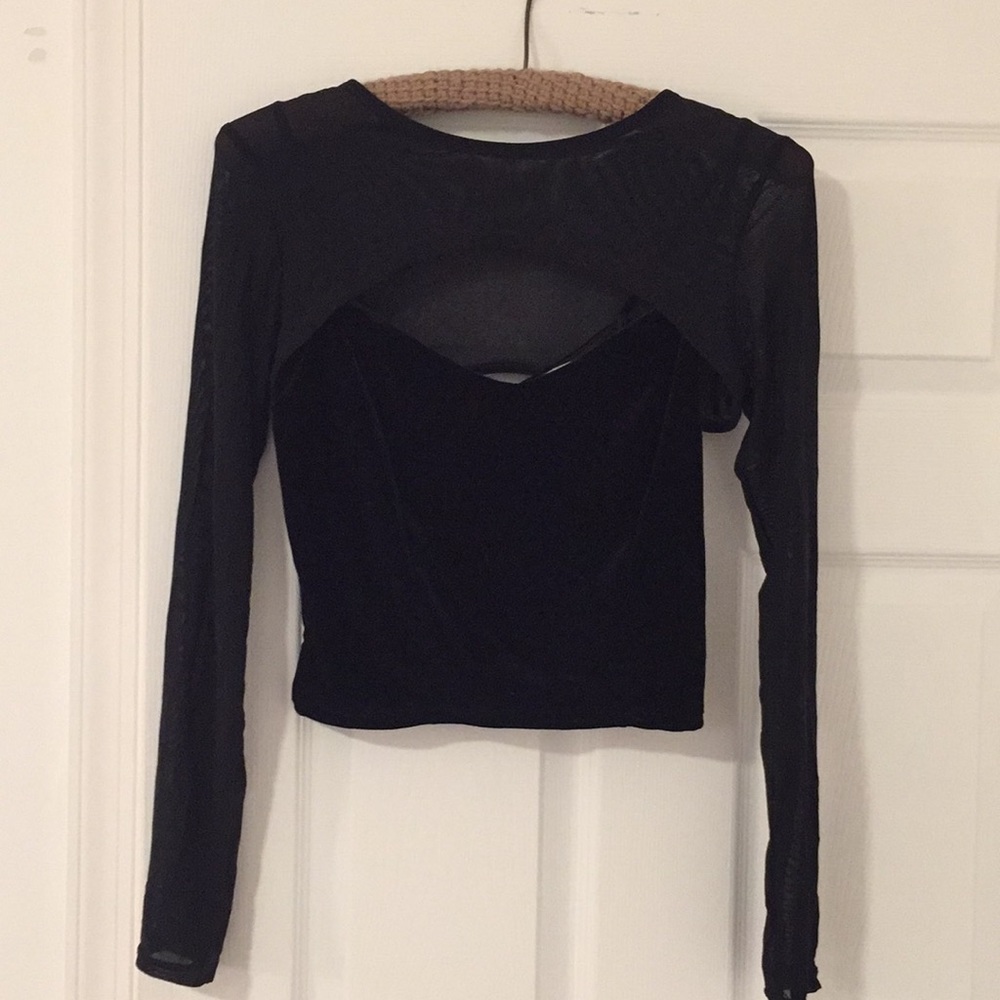 Sheer velvet crop top